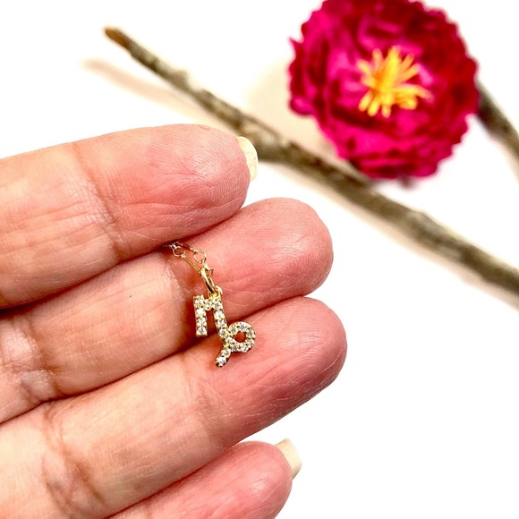 jasmines jewels Jewelry - Capricorn Necklace, Constellation, Zodiac